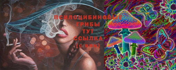 ПСИЛОЦИБИНОВЫЕ ГРИБЫ Богородицк