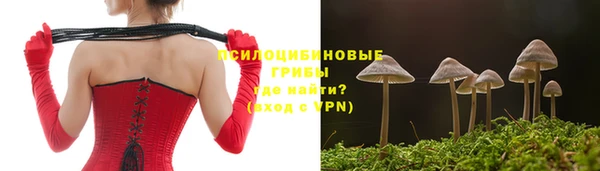 ПСИЛОЦИБИНОВЫЕ ГРИБЫ Богородицк