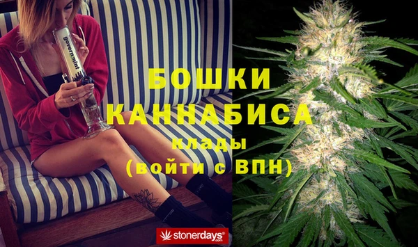 ПСИЛОЦИБИНОВЫЕ ГРИБЫ Богородицк