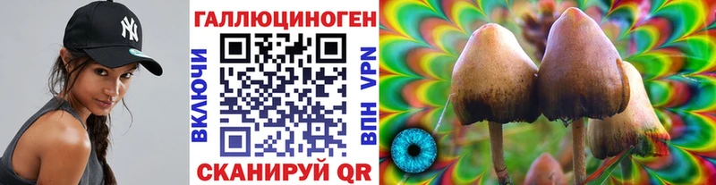 Псилоцибиновые грибы Psilocybine cubensis  сколько стоит  Ярославль 