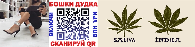Шишки марихуана OG Kush  где найти наркотики  Ярославль 